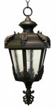 Hanging Lanterns