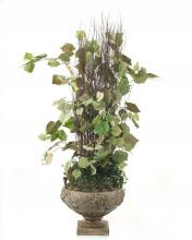 Plants