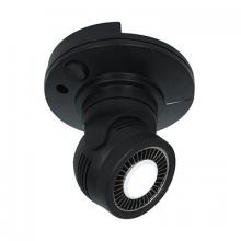 Directional Spot Lights